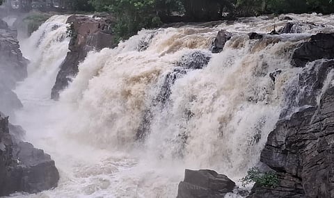 கோப்புப் படம்