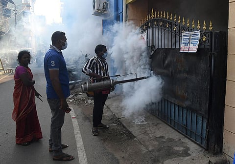 கொசு ஒழிப்புப் பணியாளர்களுக்கு உடனடியாக பணி நிலைப்பு வழங்க வேண்டும்: ராமதாஸ்