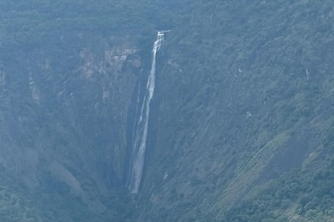 கொடைக்கானல் மலைச்சாலையில் டம் டம் பாறை அருகே இயற்கை எழில்சூழ்ந்து காணப்படும் எலிவால் நீர்வீழ்ச்சி. படம்: பி.டி.ரவிச்சந்திரன்