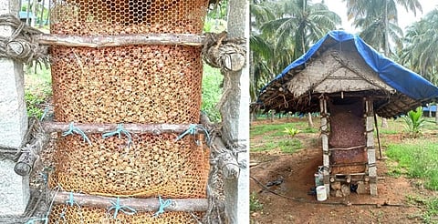 தீபாவளி விற்பனையை எதிர்பார்த்து தேனி அருகே கோபாலபுரத்தில் குடில்களில் இருப்பு வைக்கப்பட்டுள்ள வெங்காயம். படம்:என்.கணேஷ்ராஜ்.