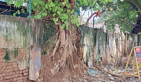 அமைந்தகரை சமுதாய நலக்கூட சுவரில் பெரிய ஆலமரம்: எந்த நேரமும் இடிந்து விழும் ஆபத்து