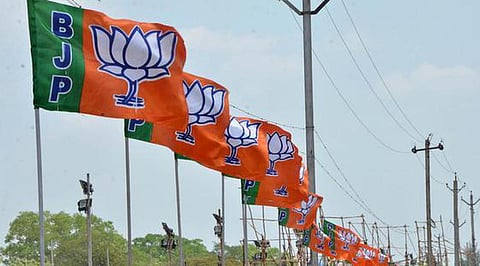 ஜார்க்கண்ட் தேர்தலில் சொந்த கட்சி வேட்பாளர்களை எதிர்த்து போட்டியிட்ட 30 பாஜக தலைவர்கள் நீக்கம்
