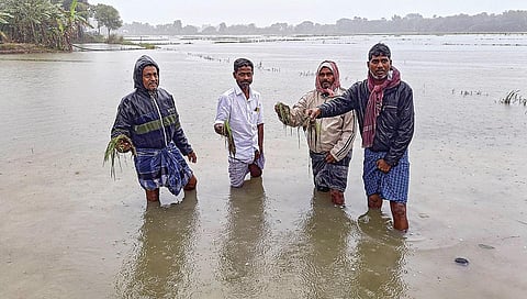 தஞ்சாவூர் மாவட்டம் ஒரத்தநாடு அருகே குலமங்கலம் பகுதியில் பெய்த மழையால் தண்ணீரில் மூழ்கியுள்ள சம்பா நெற்பயிர்களுடன் விவசாயிகள்.