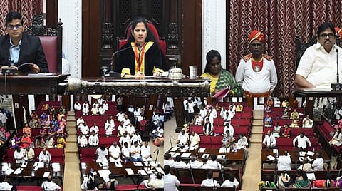 சென்னையில் தெருநாய்களை கட்டுப்படுத்த 3 இடங்களில் ரூ.4 கோடியில் நாய் இன கட்டுப்பாடு மையங்கள்