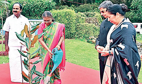 உதகை ராஜ்பவனில் மரக்கன்று நட்டுவைத்த குடியரசுத் தலைவர் திரவுபதி முர்மு. உடன், ஆளுநர் ஆர்.என்.ரவி, அமைச்சர் சிவ.வீ.மெய்யநாதன்.