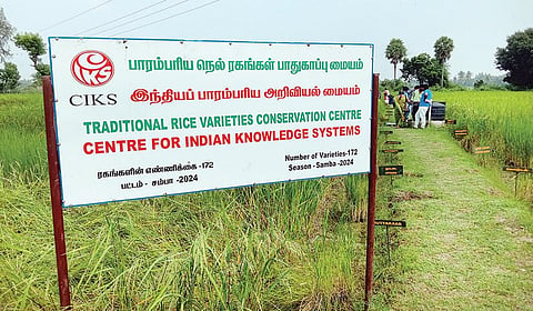 உழவு முதல் உணவாக்குதல் வரை: இயற்கை விவசாயிகளுக்கு வழிகாட்டும் சி.ஐ.கே.எஸ்.