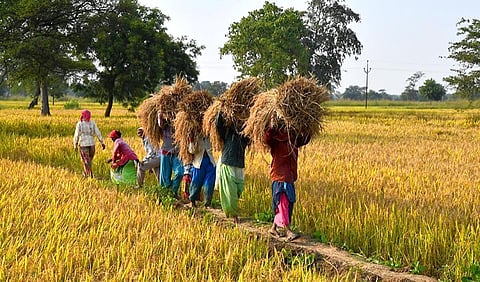குறியீட்டுப் படம்