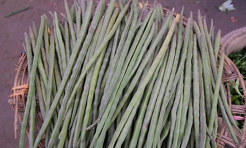 கோயம்பேடு சந்தையில் முருங்கைக்காய் கிலோ ரூ.150-க்கு விற்பனை