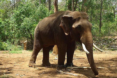 கோப்புப் படம்