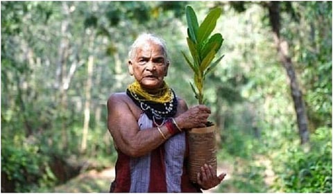 துளசி கவுடா