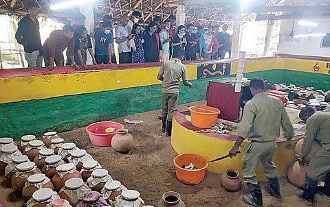 வடநெம்மேலி பண்ணையில் விஷம் எடுப்பதற்காக பானைகளில் பாதுகாப்பாக வைத்து பராமரிக்கப்படும்
பாம்புகள்.