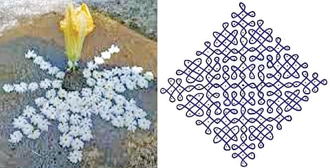 மார்கழி மாத கோலத்தின் நடுவில் பூசணிப் பூவுக்கு இடம் ஏன்?