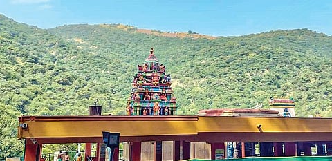 வேண்டும் வரம் அருளும் சுயம்பு மாவூற்று வேலப்பர்!