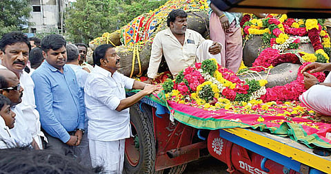 நெல்லையப்பர் கோயில் யானை உயிரிழப்பு: ஏராளமான பொதுமக்கள் அஞ்சலி