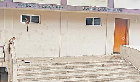 பிரதான அருவி அருகே உள்ள பெண்கள் உடைமாற்றும் அறையின் உள்ளே உடைந்தும், திறந்தும் காணப்படும் ஜன்னல்கள்.