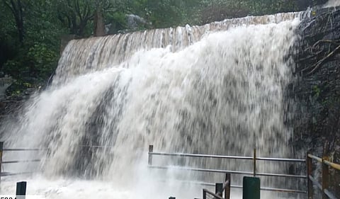 தொடர் மழை காரணமாக சுருளி அருவியில் அதிகரித்துள்ள நீர்ப்பெருக்கு.