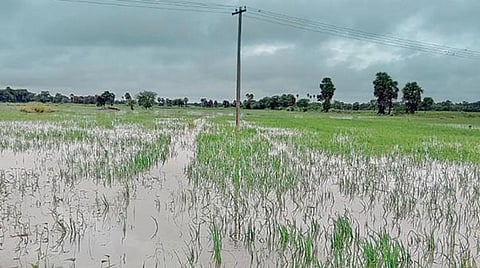 மழை பாதிப்பு; டெல்டா விவசாயிகளுக்கு ஏக்கருக்கு ரூ.35 ஆயிரம் நிவாரணம்: சிபிஎம் வலியுறுத்தல்