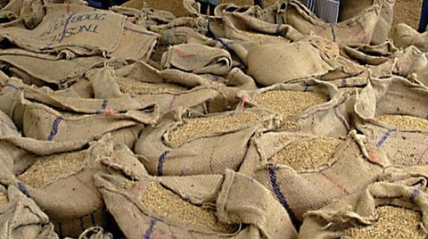 தமிழக அரசின் 22% ஈரப்பத நெல் கொள்முதல் கோரிக்கை: மத்திய குழு விரைவில் தமிழகம் வருகை