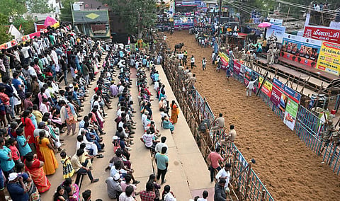 அலங்காநல்லூர் ஜல்லிக்கட்டு பார்க்க 1.2 லட்சம் பேர் வருகை - கடந்த ஆண்டை விட அதிகம்
