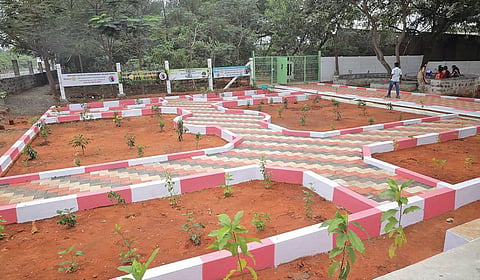 மேட்டுப்பாளையம் கனரக ஊர்தி முனையத்தில் குப்பை கொட்டப்பட்டு வந்த இடம், சுற்றுச்சூழல் பூங்காவாக மாற்றப்பட்டுள்ளது.