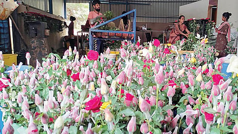 காதலர் தின விற்பனைக்காக ஓசூர் அருகே பாகலூர் பகுதியில் அறுவடை செய்த ரோஜா மலர்களை பதப்படுத்தும் பணியில் ஈடுபட்டுள்ள தொழிலாளர்கள்.