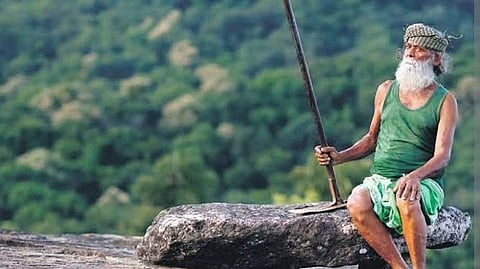20 லட்சம் மரக்கன்றுகளை நட்ட கேரளாவின் பசுமை மனிதர் கல்லுர் பாலன் காலமானார்