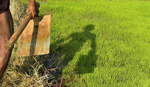 தமிழக அரசு புதிதாக விதித்த செஸ் வரி வசூலில் ‘கறார்’ - விவசாயிகள் அதிர்ச்சி