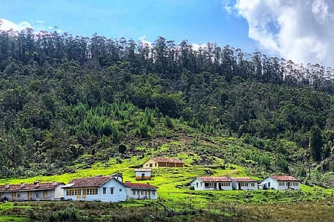 பிப்.19, 20-ல் கொடைக்கானல் பேரிஜம் ஏரிக்கு செல்ல சுற்றுலா பயணிகளுக்கு தடை