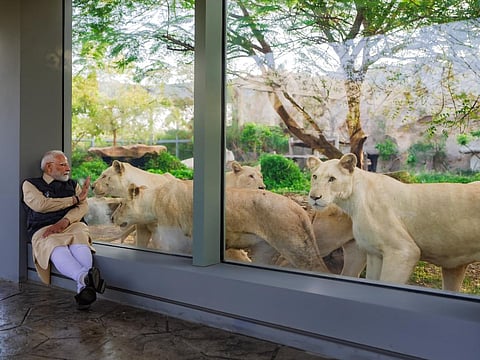 “இது கருணைமிக்க முயற்சி!” - அம்பானி குழுமத்தின் ‘வன்தாரா’வை கண்டு வியந்த பிரதமர் மோடி நெகிழ்ச்சி
