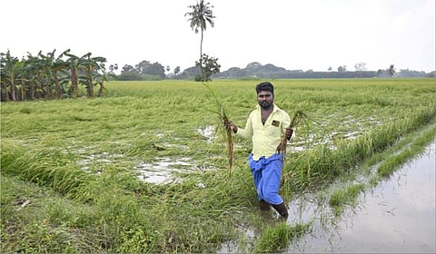 20.84 லட்சம் விவசாயிகளுக்கு ரூ.1,631.53 கோடி பயிர் சேத இழப்பீடு: அமைச்சர் எம்.ஆர்.கே.பன்னீர்செல்வம் தகவல்
