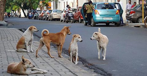 கோப்புப்படம்