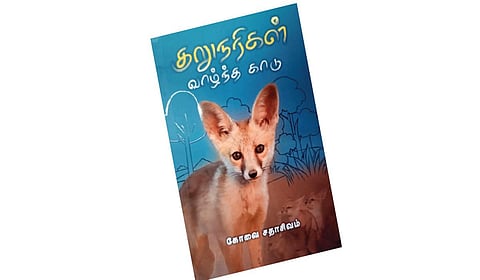 குள்ளநரி ஓர் அறிமுகம்
