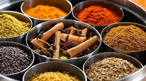 உணவு மசாலா பொடிகள் தயாரிக்கும் பயிற்சி