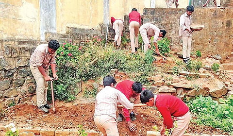 உதகை அரசு மேல்நிலைப் பள்ளியில் இயற்கை விவசாய முறையில் காய்கறி தோட்டம் அமைத்து பராமரிக்கும் மாணவர்கள்.