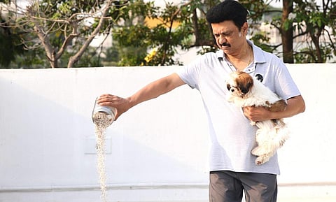கோடை வெயிலால் தவிக்கும் பறவைகளுக்கு நீரும், உணவும் அளிப்போம்: முதல்வர் ஸ்டாலின்