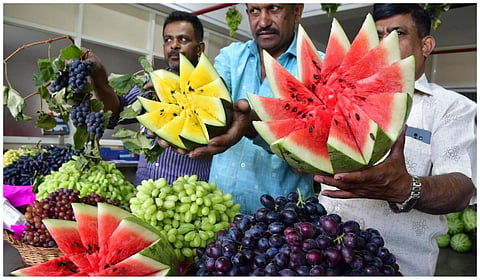தர்பூசணி பழம் | கோப்புப் படம்