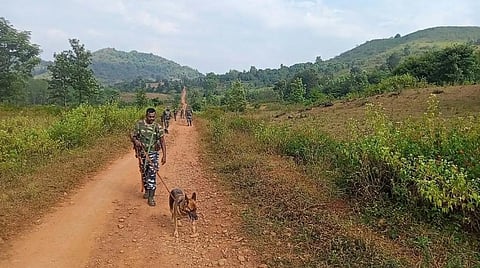 சத்தீஸ்கரில் 22 மாவோயிஸ்ட்கள் பாதுகாப்பு படையினரிடம் சரண்டர்