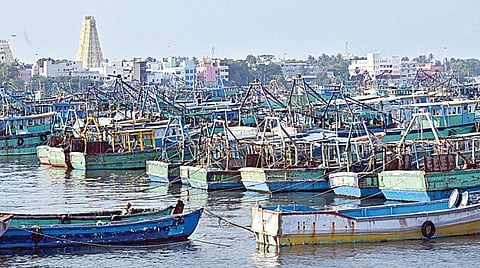 ராமேசுவரம் கடற்கரையில் நங்கூரமிட்டுள்ள விசைப்படகுகள். | படம்: எல். பாலச்சந்தர் |