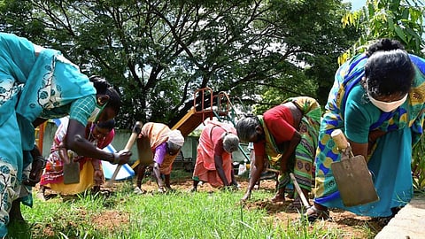 100 நாள் வேலை திட்டத்தை மெருகேற்றுவது அவசியம்!
