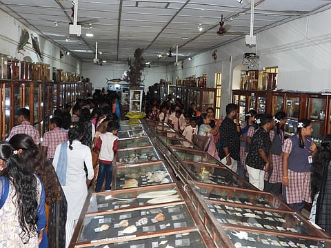 மத்தியக் கடல் மீன்வள ஆராய்ச்சி நிலையத்தில் உள்ள கடல்சார் அருங்காட்சியகம்.