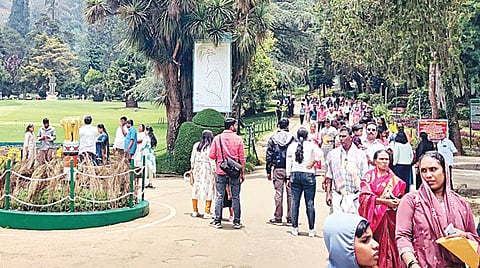 ஊட்டி தாவரவியல் பூங்காவில் நேற்று திரண்டிருந்த சுற்றுலாப் பயணிகள். | படம்: ஆர்.டி.சிவசங்கர் |