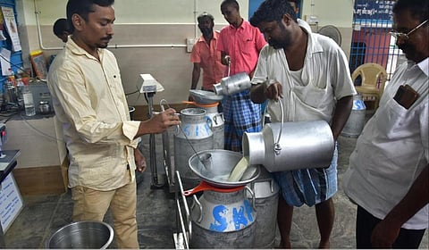 நாளொன்றுக்கு 54 லட்சம் லிட்டர் பால் உற்பத்தி இலக்கு: அமைச்சர் ராஜ கண்ணப்பன் தகவல்