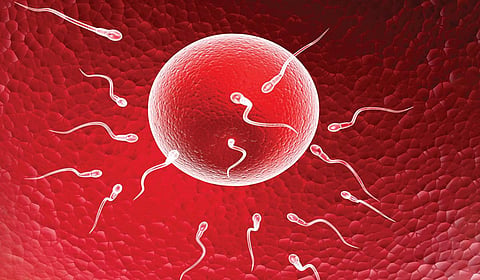 உயிரணுக்களின் பந்தயம்: வெல்லப் போவது யார்?