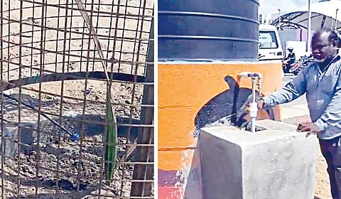 சென்னை மெரினா லூப் சாலையில் நடப்பட்டுள்ள பனை மரக்கன்றுகளுக்கு சொட்டுநீர் பாசனம் மூலம் விடப்படும் நீர். (அடுத்தபடம்) சொட்டுநீர் பாசன கட்டமைப்பு.