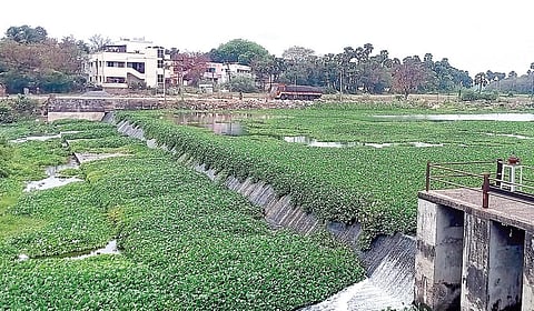 கூவம் ஆற்றின் தடுப்பணையில் குவியும் குப்பை!