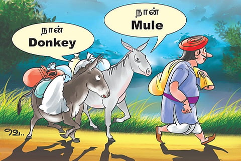 Mule என்பது கழுதையா, குதிரையா? | ஆங்கிலம் அறிவோமே 4.0 - 129