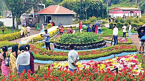 கொடைக்கானல் பிரையன்ட் பூங்காவில் பூத்துக் குலுங்கும் பூக்களை கண்டு ரசிக்கும் சுற்றுலாப் பயணிகள்.