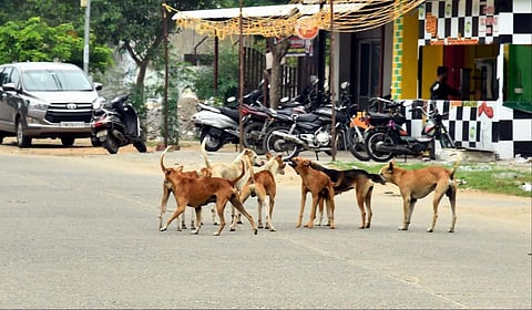 கோப்புப்படம்