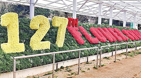 ஊட்டியில் இன்று தொடங்கும் மலர் கண்காட்சியையொட்டி அமைக்கப்பட்டு
உள்ள மலர் அலங்காரம். | படம்: ஆர்.டி.சிவசங்கர் |