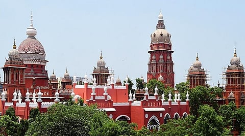 தூய்மை பணியாளர்களை தொழில் முனைவோராக்கும் திட்டம்: பயனாளிகள் அடையாளம் காணப்பட்டதற்கான ஆவணங்களை தாக்கல் செய்ய நீதிமன்றம் உத்தரவு